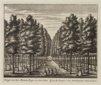 KG 05343
          <br/>
          Gesicht van het Meniste bosje in den Hout (Alkmaar)
          <br/>
          <em>Schenck, Leonard (werkz. 1715-1746)</em>